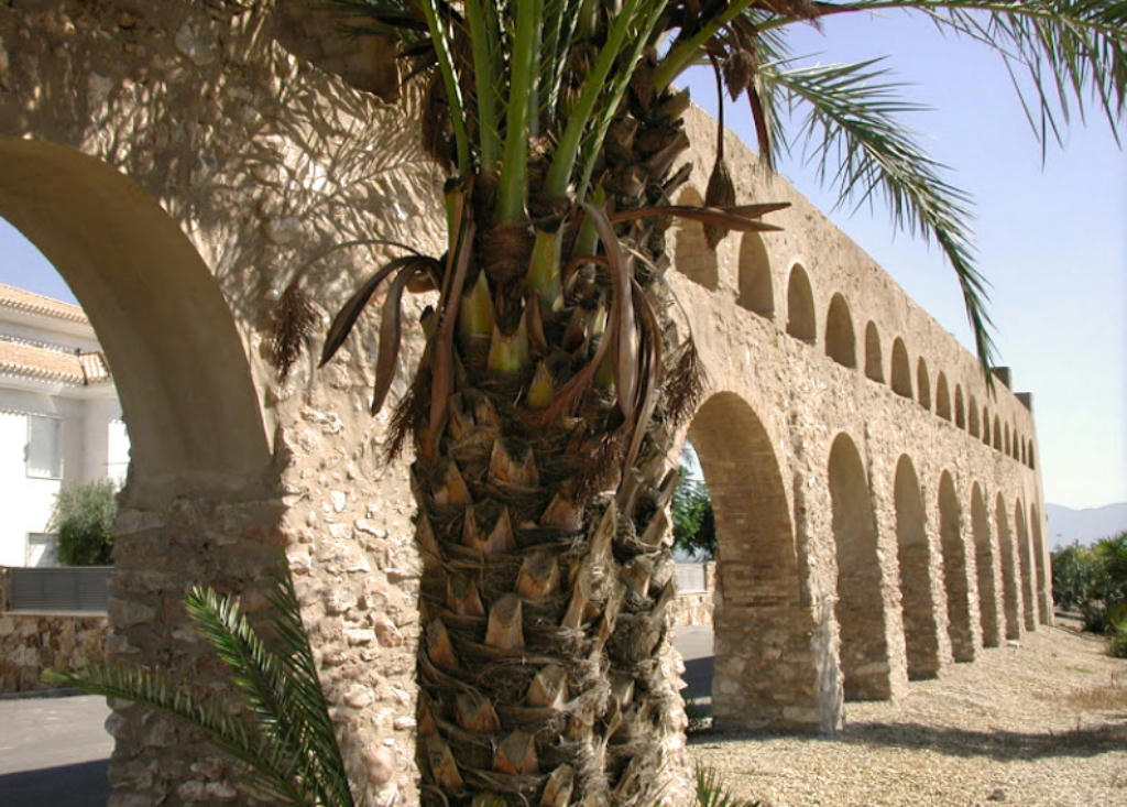 Photo of Antas