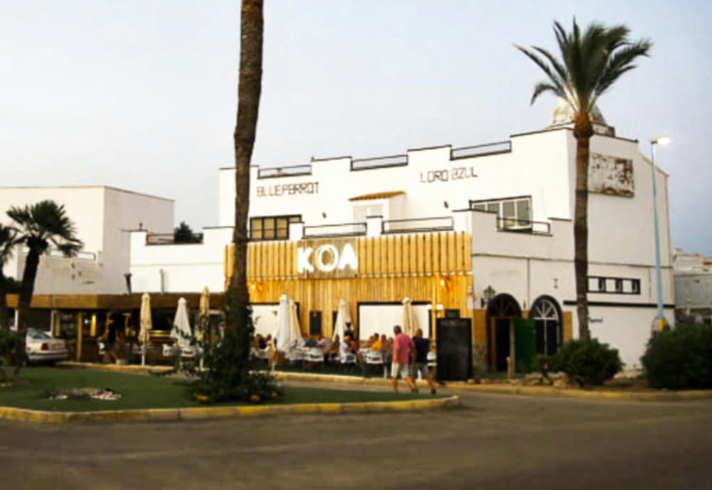 Photo of Koa